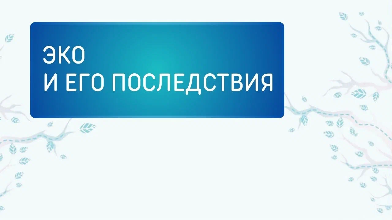 ЭКО и его последствия